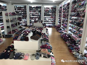 专供商超百货业态杭州童装与拖鞋标杆生产企业访厂教学活动圆满成功，苗木花卉产业协同发展